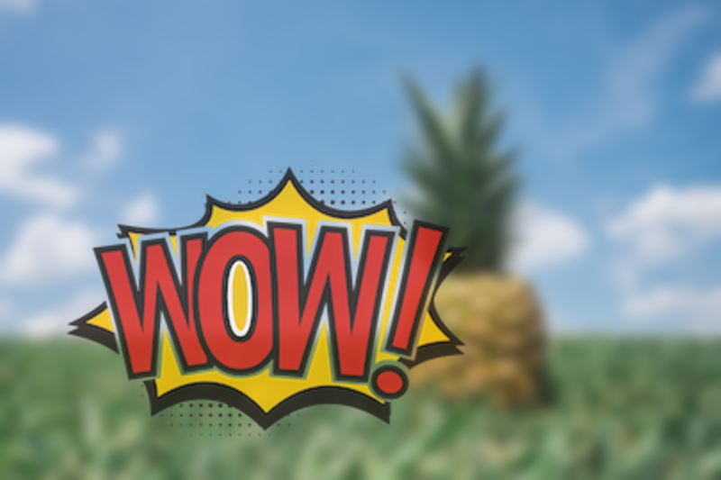 overlay over the blurred image