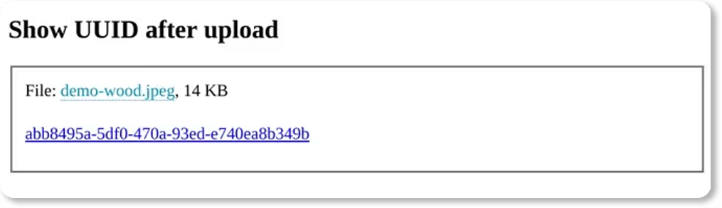  Image uploaded to Meteor.js