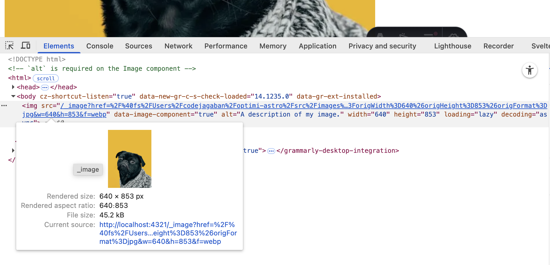 Astro image component