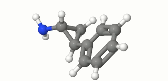 The 50th frame of the WebM video produced by Uploadcare