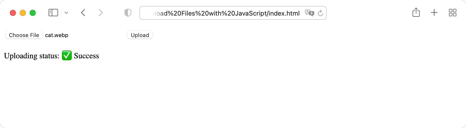 Successful file upload