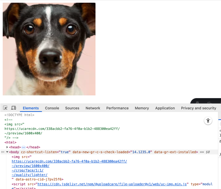 Multiple image transformation with Uploadcare
